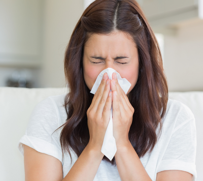 Understanding Hay Fever
